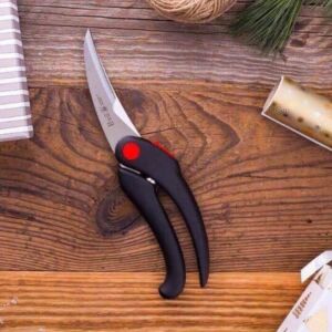 Kéo cắt gà Zwilling 42914-001 nhập khẩu Đức