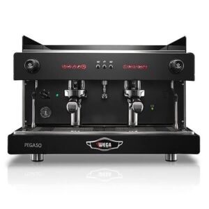 Wega Pegaso 2 Group